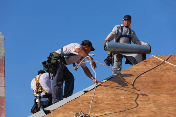 Gutter Installation and Roofing in Wayne, MI